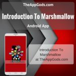 Introduction To Marshmallow